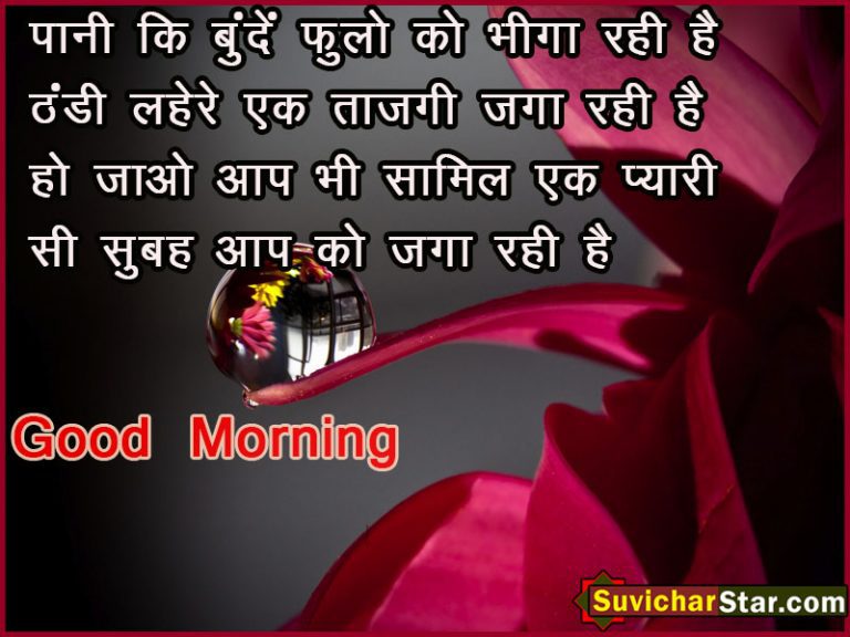 morning 01