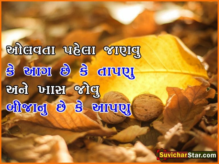 03 gujarati suvichar