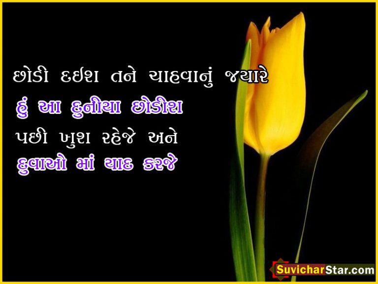 05 gujarati love shayari
