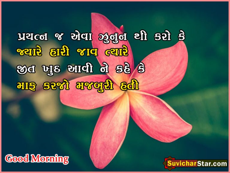 good morning gujaraari
