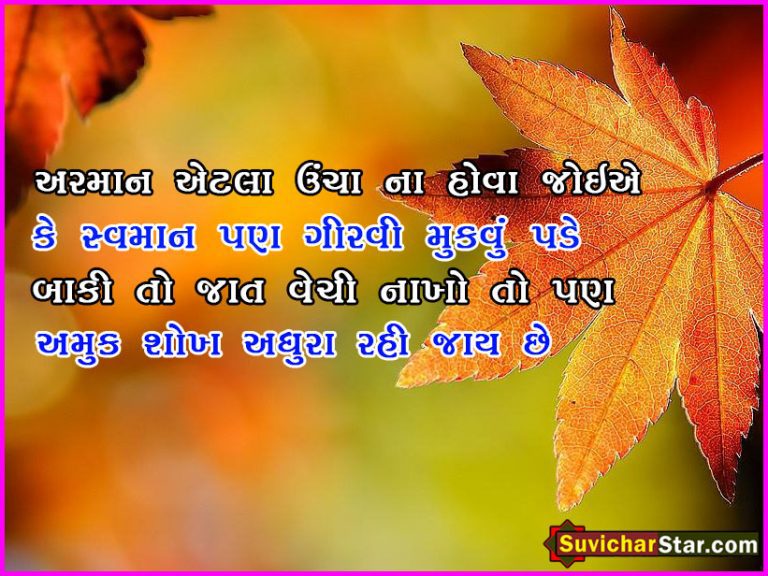 gujarati suvicha 04