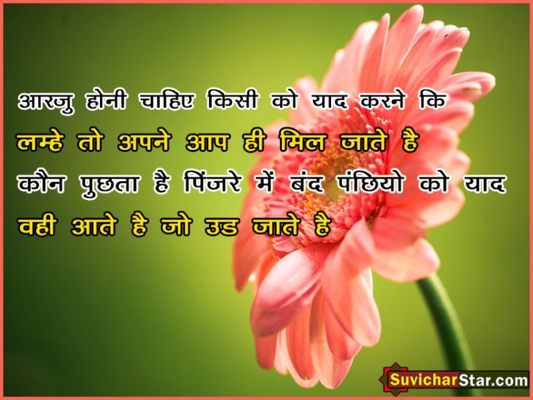 hindi shayari 02