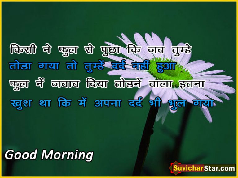 good morning