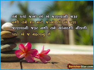 Today Gujarati Suvichar 