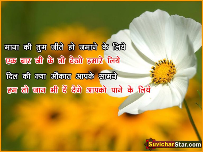 hindi shayari 02