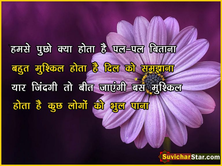 hindi sjhayari 03