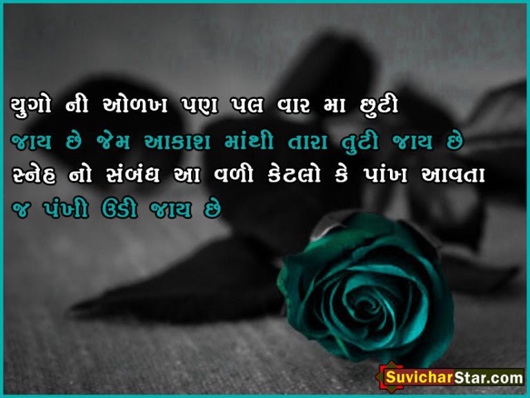 gujarati shayari