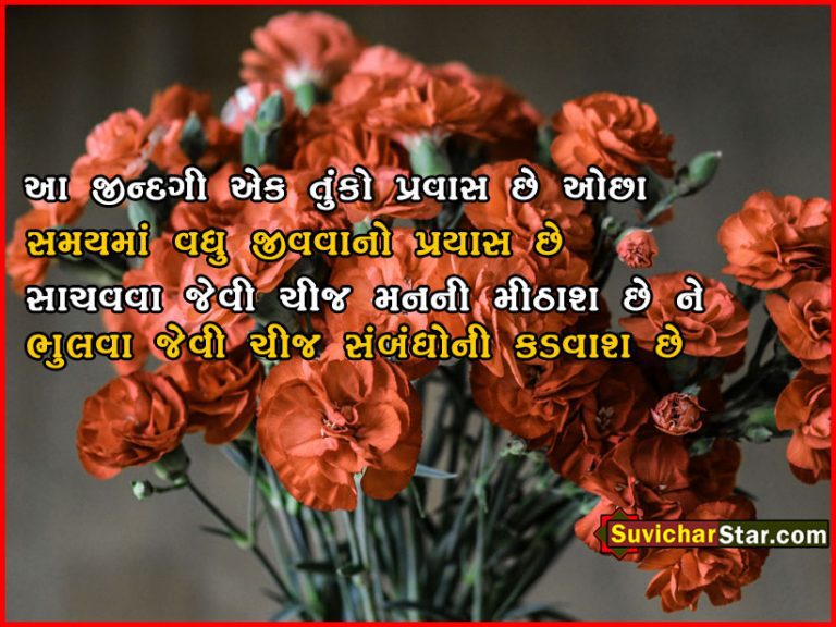 gujarati suvichar