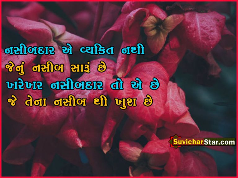 gujarti suvicvhar