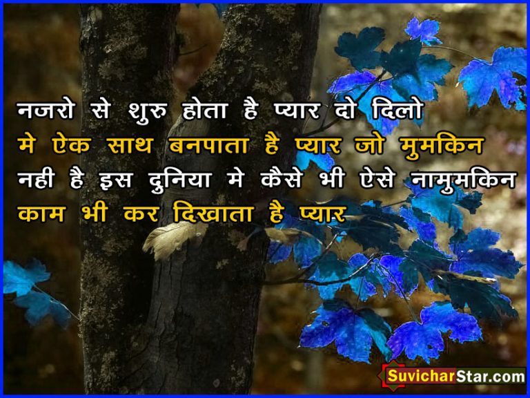 hindi love shayari