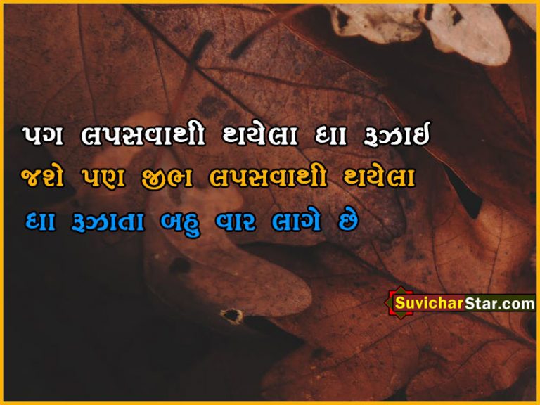 gujarati suvichr 02