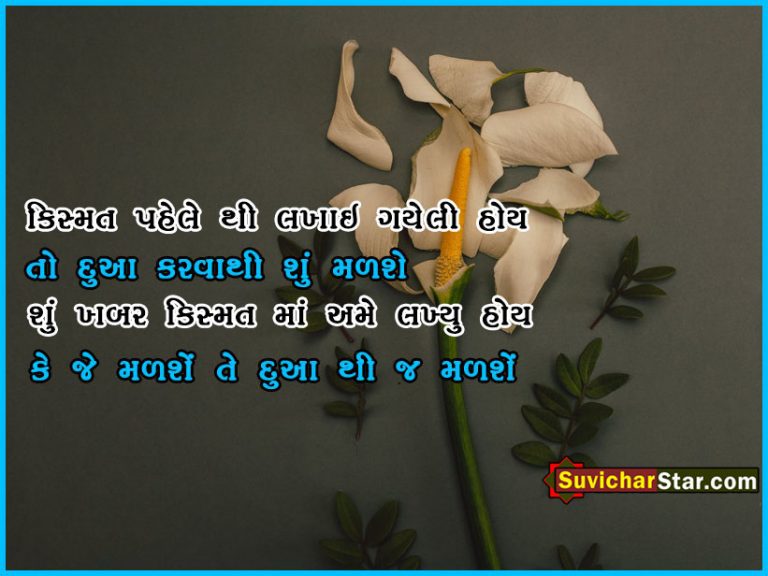 gujarati suvichar 02