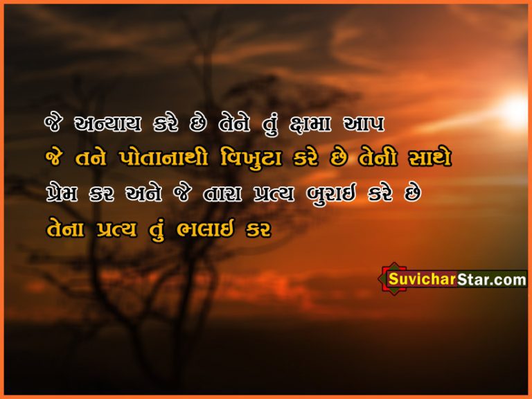 gujarati suvichar 01