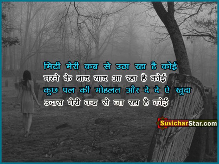 hindi love shayari 14